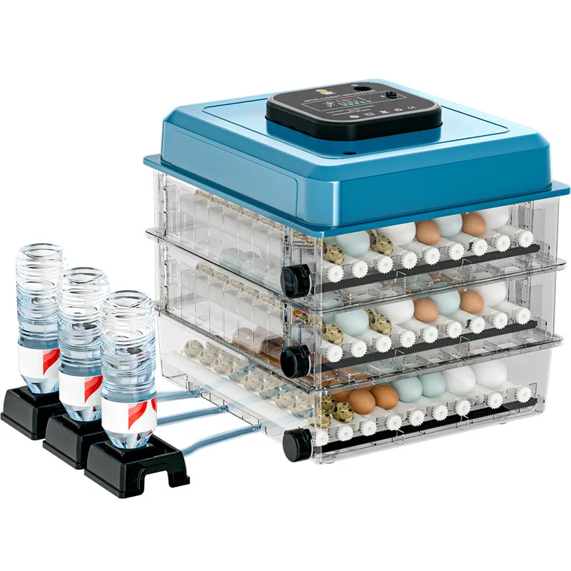 Incubateur automatique 200 œufs – Taux d'éclosion 98% | Poules, Canards, Reptiles
