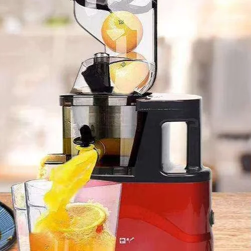 Extracteur de Jus Centrifuge 500W – Moteur Silencieux & Autonettoyant