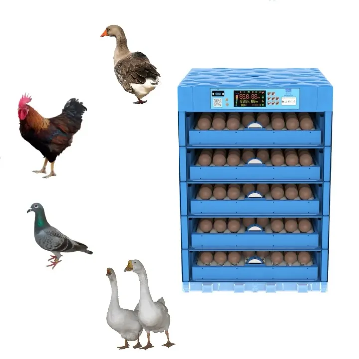 Incubateur Automatique pour 200 Œufs – Équipement Agricole pour Poulets, Canards, Cailles et Oiseaux