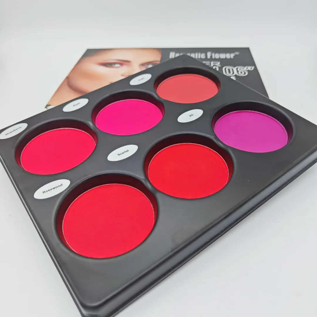 Palette de Blush 6 Couleurs – Maquillage Visage Waterproof, Texture Légère et Haute Pigmentation