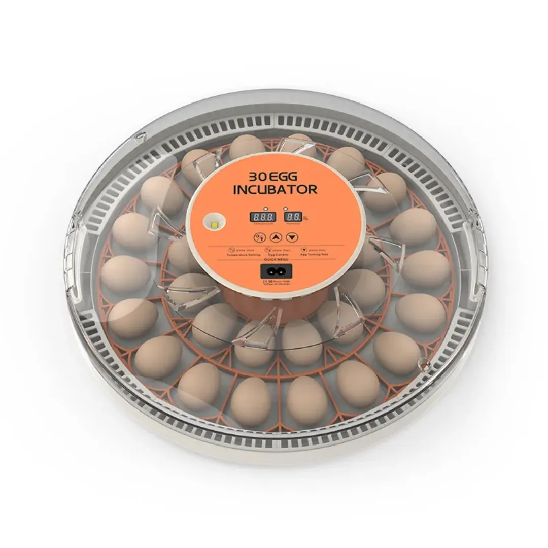 Incubateur automatique 30 œufs – Rotation automatique – Poule, Caille, Canard