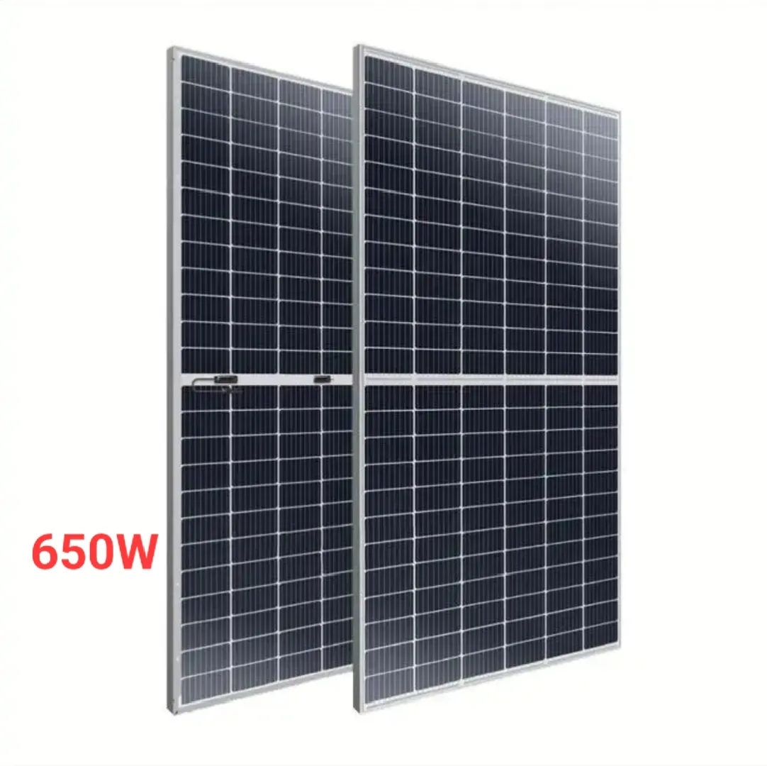 Panneau Solaire Bifacial 650W – Rendement Supérieur pour Grandes Installations