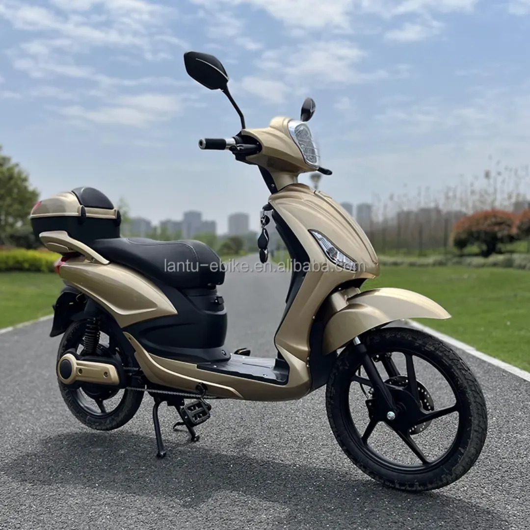 Scooter Électrique 1000W – Batterie Lithium 48V 20Ah – Autonomie 70 km – Design Premium