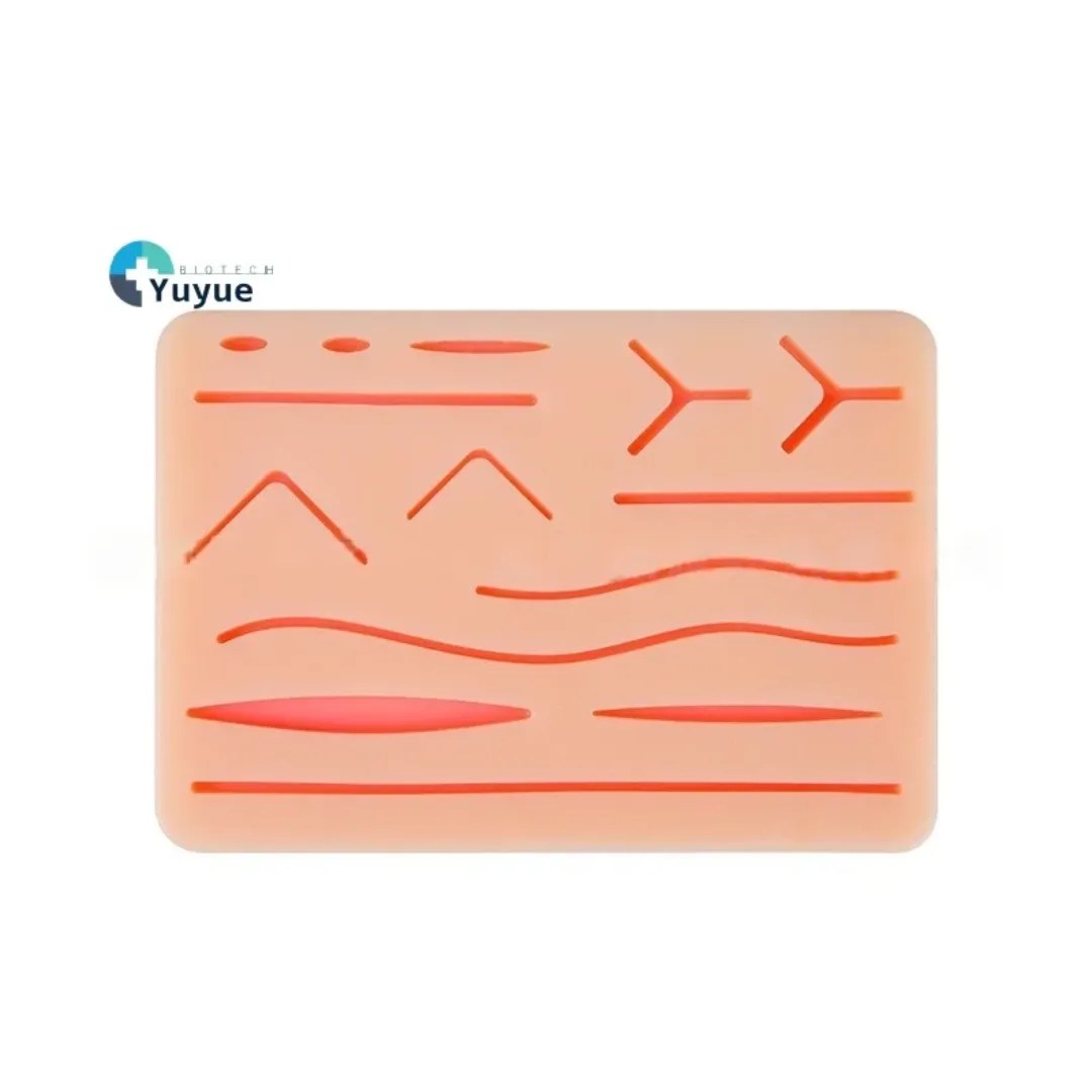 Peau de Suture en Silicone – Modèle Anatomique Multi-Plaies pour Formation Médicale et Chirurgicale