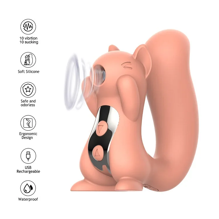 Vibromasseur Succion Clitoridien 10 Modes – Stimulateur Féminin Rechargeable USB