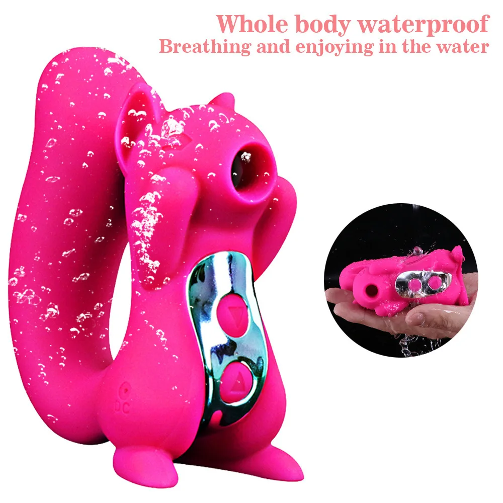 Vibromasseur Succion Clitoridien 10 Modes – Stimulateur Féminin Rechargeable USB