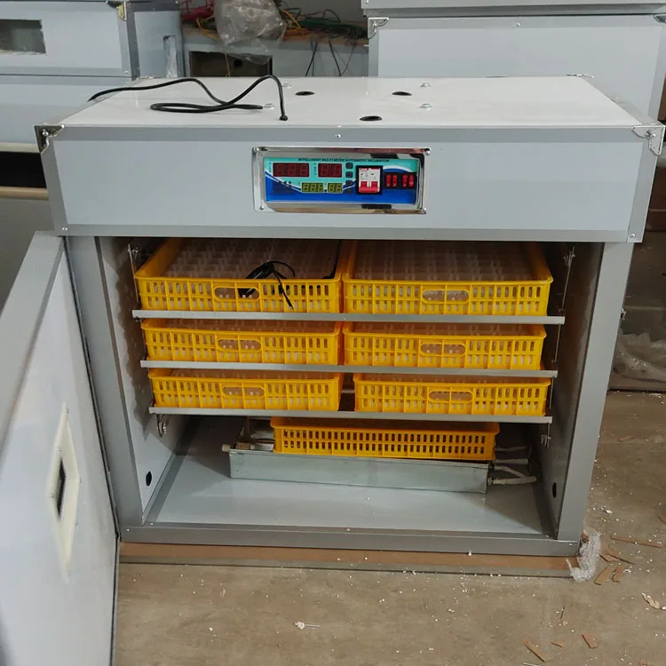 Incubateur automatique BT-528 | 528 œufs | Taux d'éclosion +98% | Volailles & Reptiles