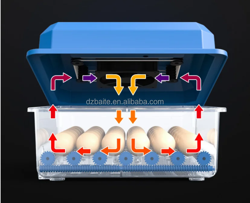 Couveuse Automatique 36 Œufs – Poule, Canard, Oie | Double Alimentation 110-220V/12V