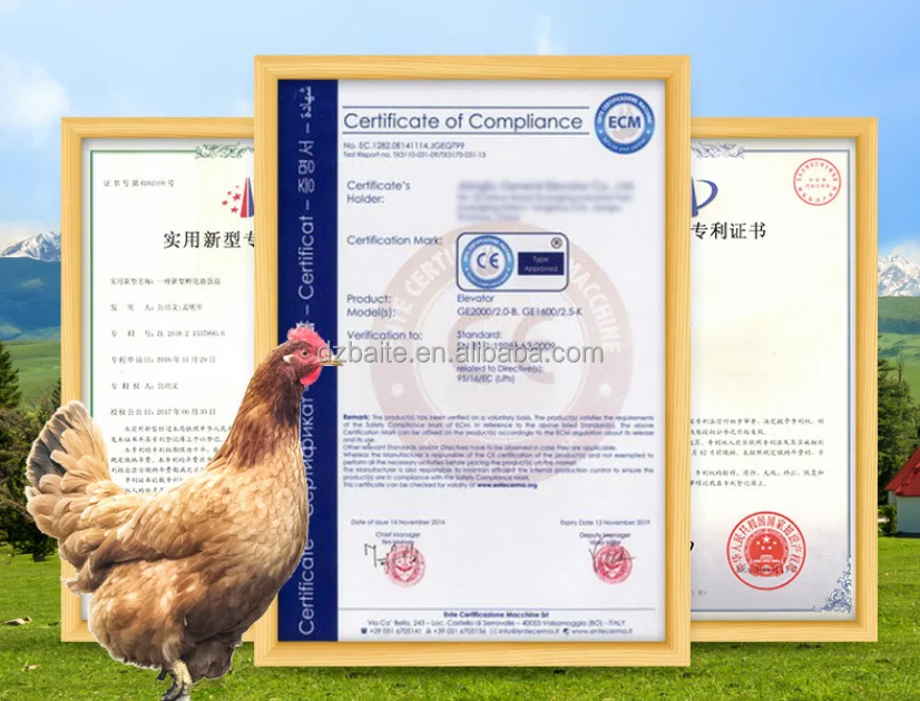 Couveuse Automatique 36 Œufs – Poule, Canard, Oie | Double Alimentation 110-220V/12V