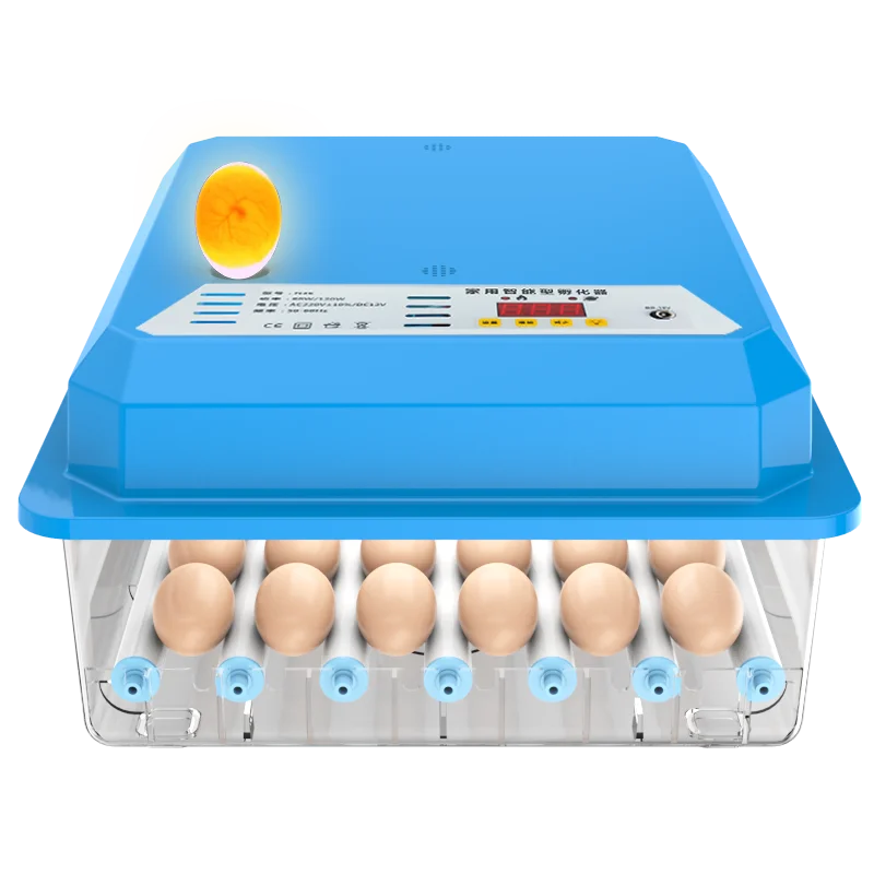 Incubateur Automatique 16 Œufs – Retournement Auto, Taux d'Éclosion +98%, Double Alimentation