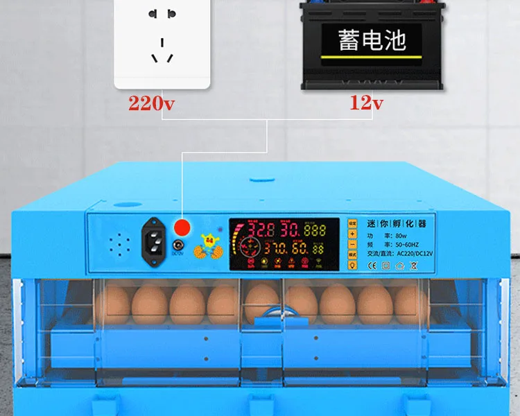 Incubateur d'Œufs Automatique 64 Œufs – Taux d'Éclosion 98% | Double Alimentation 110-220V/12V