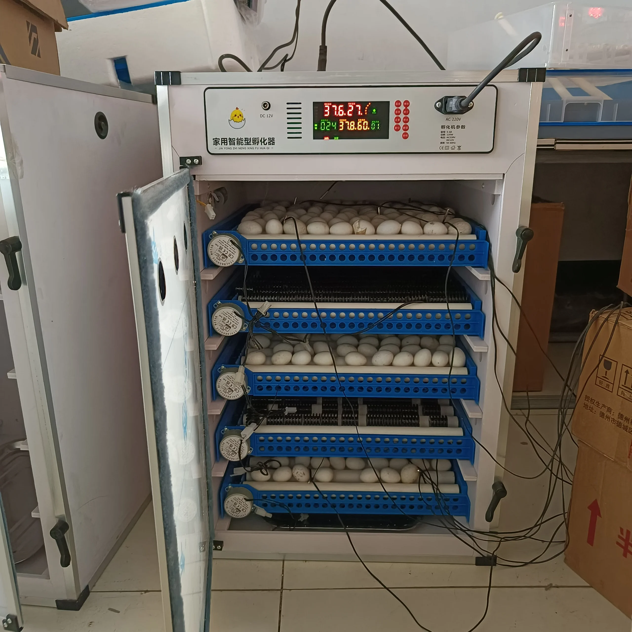 Incubateur Automatique Solaire 204 Œufs – Double Alimentation, Taux d'Éclosion +98%