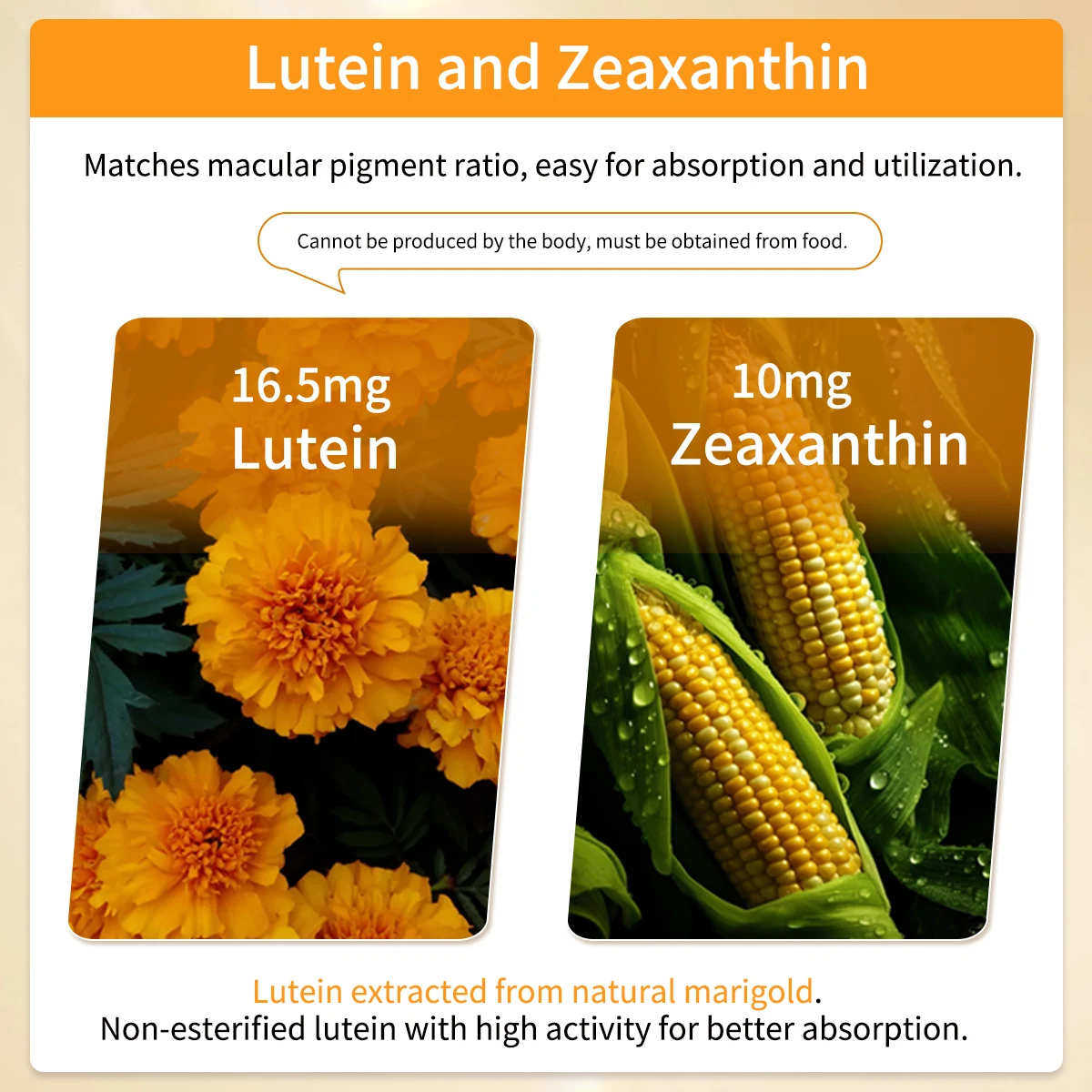 Capsules Lutéine & Zéaxanthine Perseek – Santé des Yeux 60 Softgels Certifié ISO/HACCP
