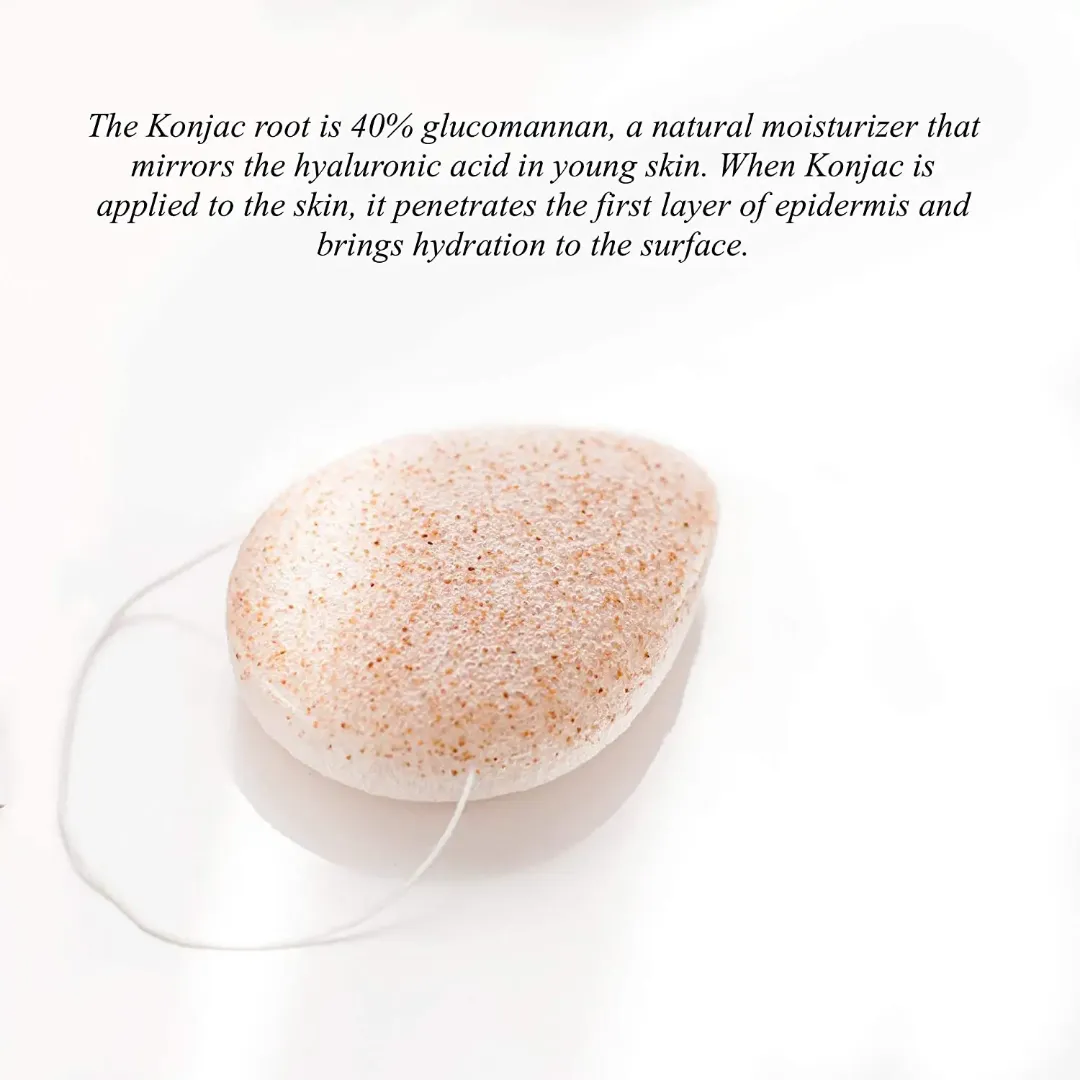 Éponge Exfoliante Konjac Naturelle – Soin du Visage et du Corps, 100% Végé