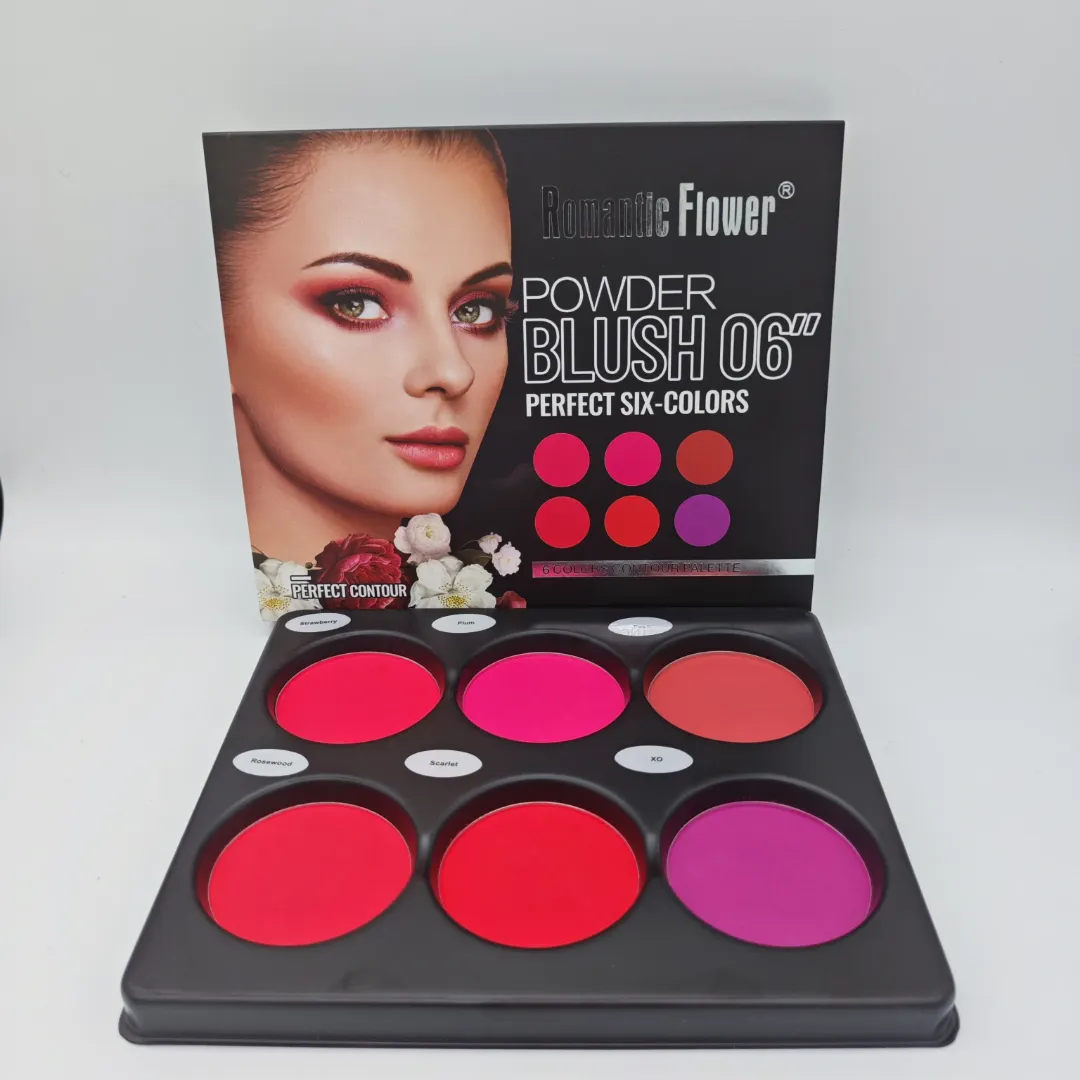 Palette de Blush 6 Couleurs – Maquillage Visage Waterproof, Texture Légère et Haute Pigmentation