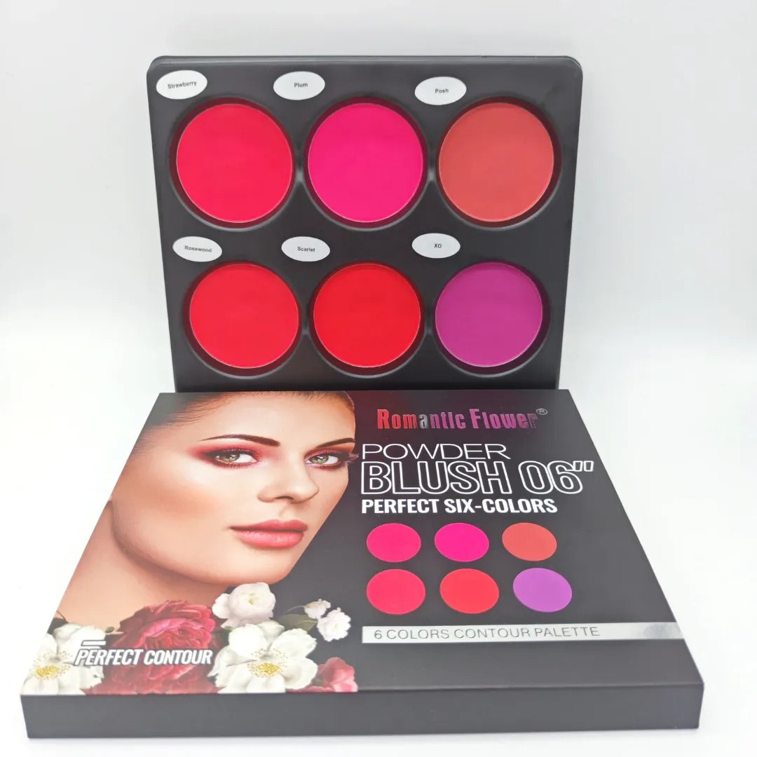 Palette de Blush 6 Couleurs – Maquillage Visage Waterproof, Texture Légère et Haute Pigmentation