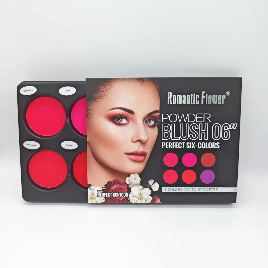 Palette de Blush 6 Couleurs – Maquillage Visage Waterproof, Texture Légère et Haute Pigmentation