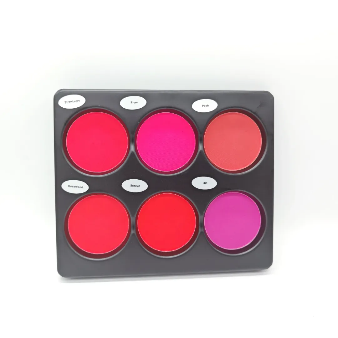 Palette de Blush 6 Couleurs – Maquillage Visage Waterproof, Texture Légère et Haute Pigmentation
