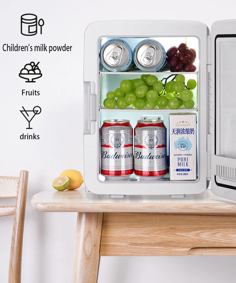 Mini Réfrigérateur Portable 9L – 12V / 220V – Stockage Médical, Cosmétiques ou Boissons – Compact et Durable