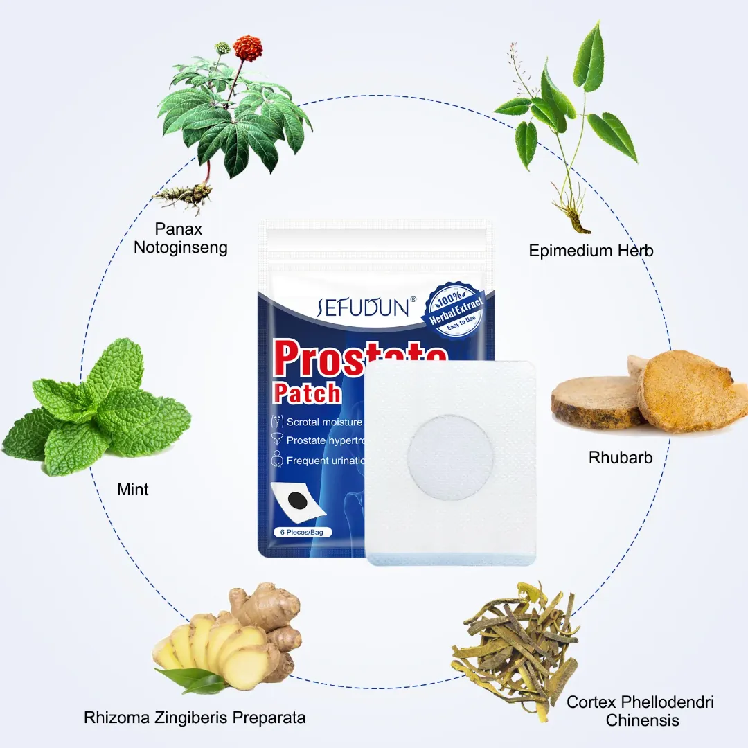 Patch Prostate Homme – Patch à base de plantes et sangsue | 6 pièces/sachet | Soulagement naturel des troubles prostatiques