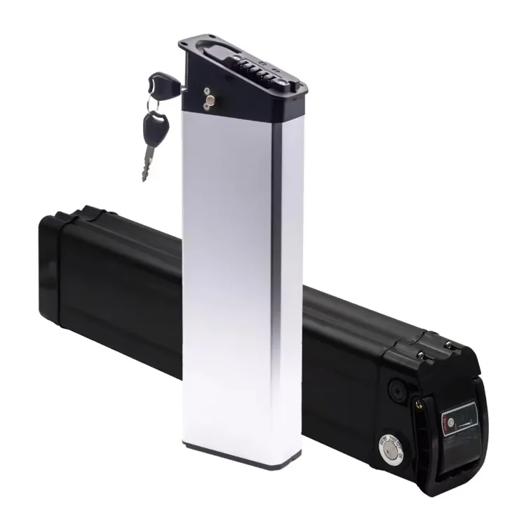 Batterie Lithium 48V 20Ah – Haute Capacité pour Vélo Électrique, Trottinette ou Scooter