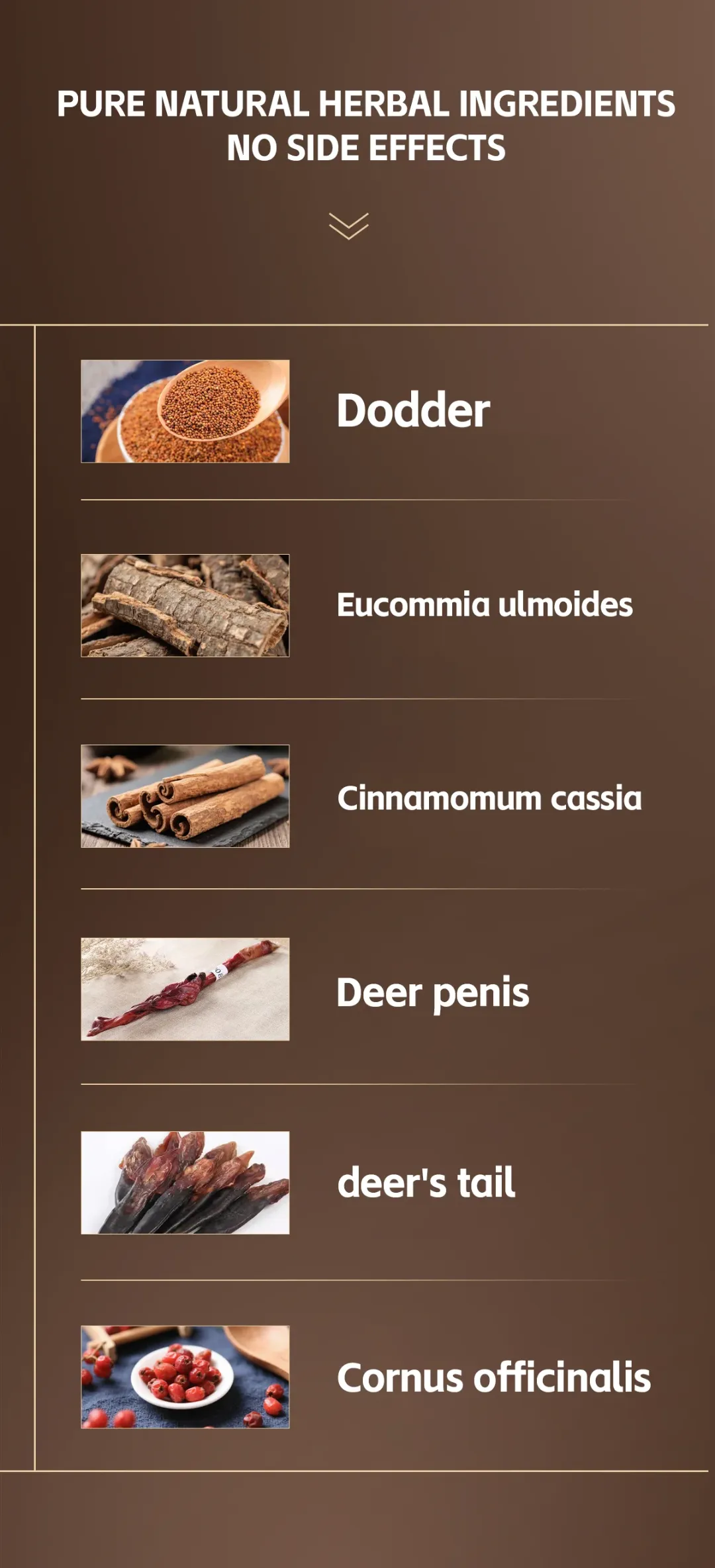 Gélules Aphrodisiaques Naturelles pour Hommes – Renforcement de la Performance, Libido, Énergie et Vitalité – À base de Ginseng et Plantes Médicinales