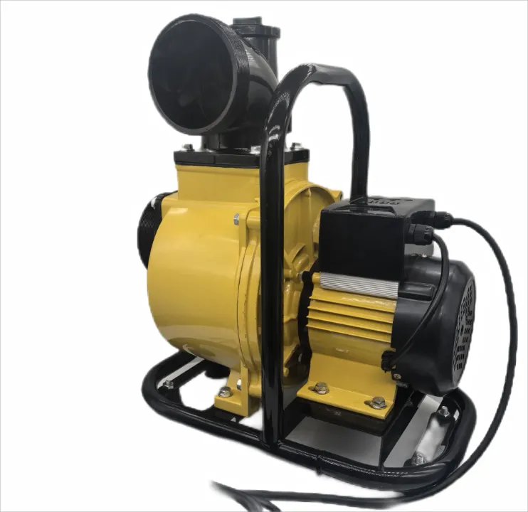 Pompe à Eau Solaire Brushless 600W – Haut Débit 15m³/h, Pression 12m, Sortie 2" pour Irrigation et Agriculture