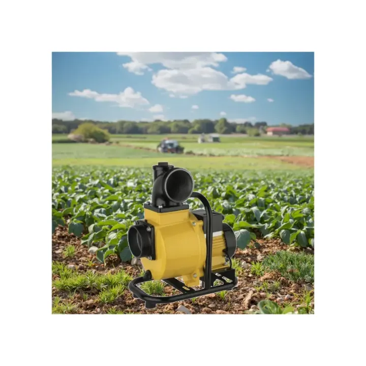 Pompe à Eau Solaire Brushless 600W – Haut Débit 15m³/h, Pression 12m, Sortie 2" pour Irrigation et Agriculture