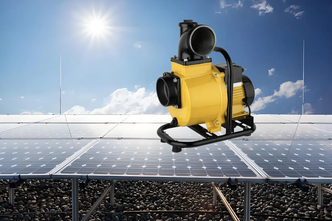 Pompe à Eau Solaire Brushless 600W – Haut Débit 15m³/h, Pression 12m, Sortie 2" pour Irrigation et Agriculture
