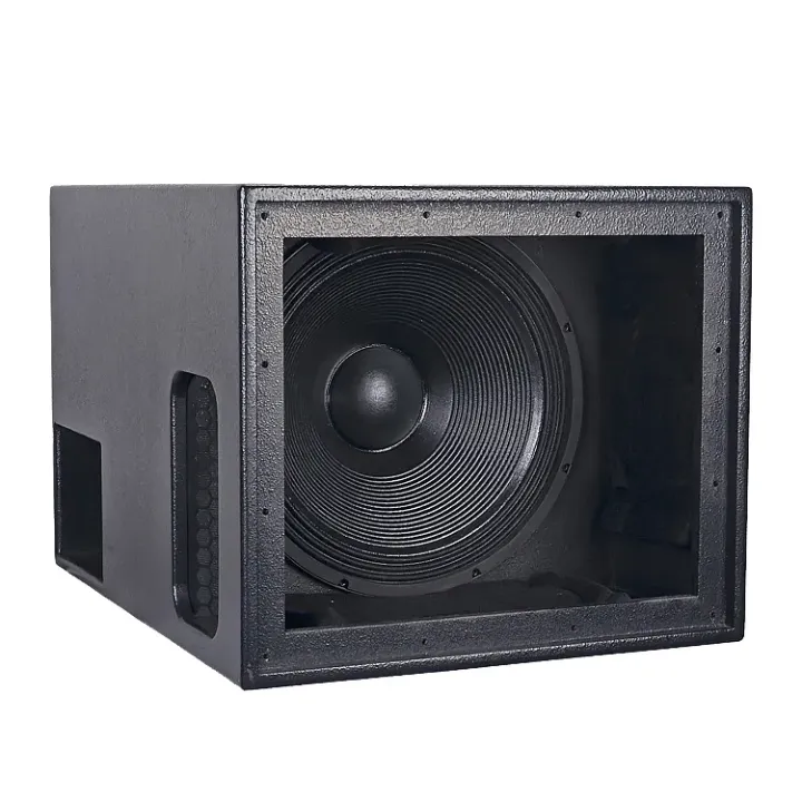 LS1200 Caisson de basses 800 watts 18 pouces professionnel
