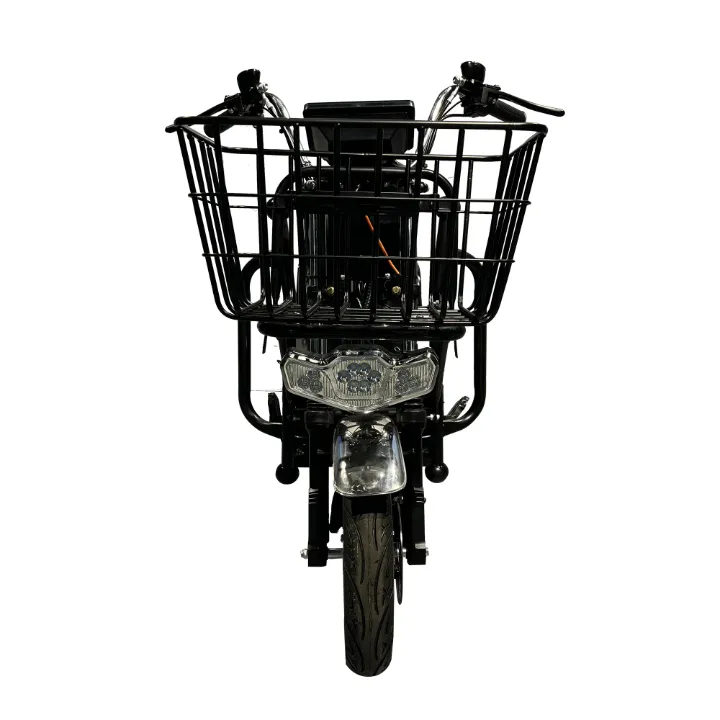 Charge de cargaison de moto électrique adulte 48V 60V 72V 1500W longue portée au plomb 500KG usine