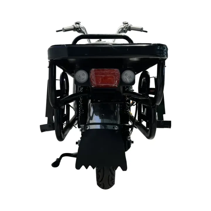 Charge de cargaison de moto électrique adulte 48V 60V 72V 1500W longue portée au plomb 500KG usine