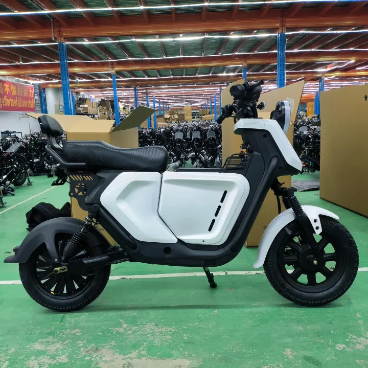 Moto électrique haute vitesse OEM 60V 16 pouces