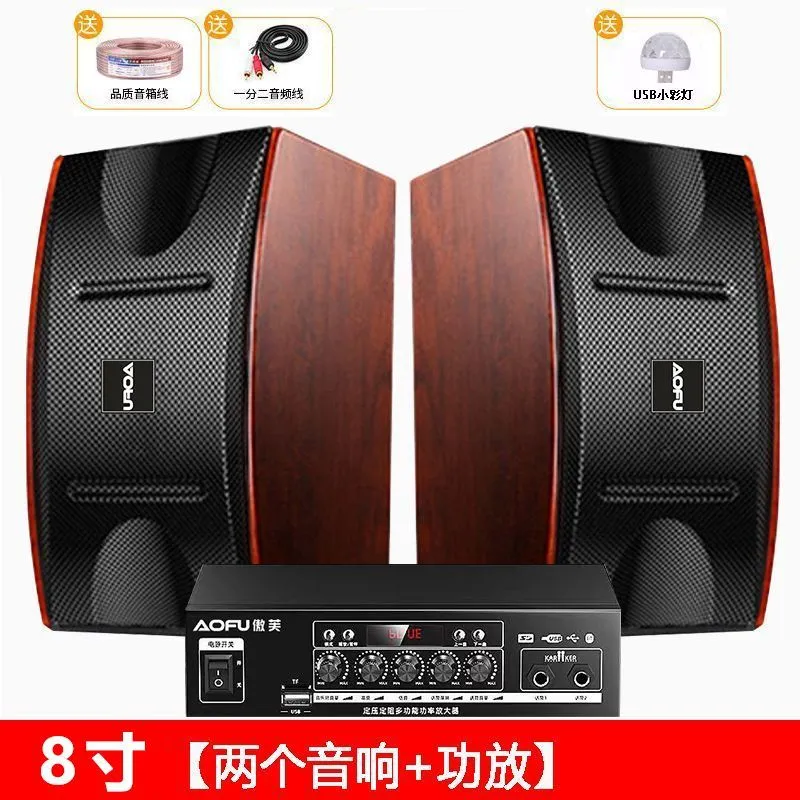 Pack Sono KTV 8 pouces – 2 haut-parleurs + amplificateur + 2 micros sans fil – Ensemble Karaoké Maison